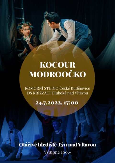 kocour_modroocko